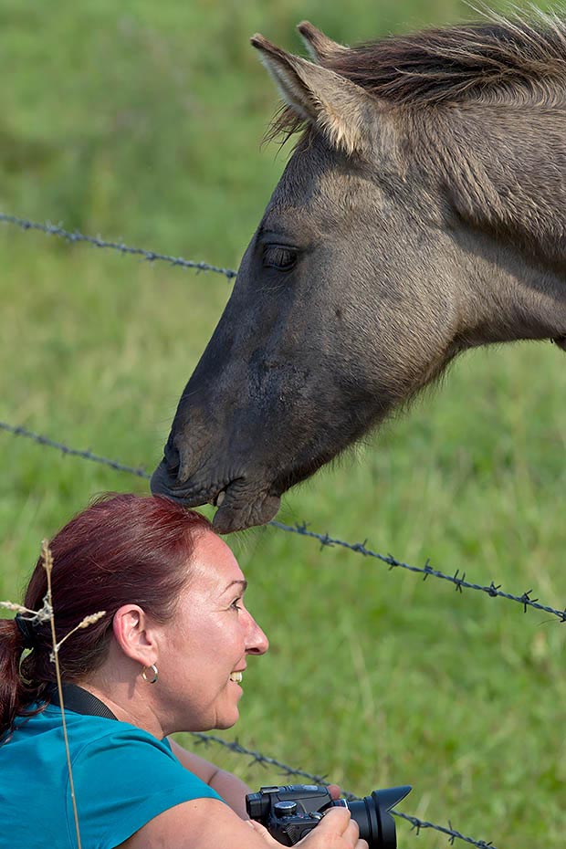 Maria und Koniks, Homo sapiens - Equus ferus gmelini - (August 2012), Maria and Heck Horse