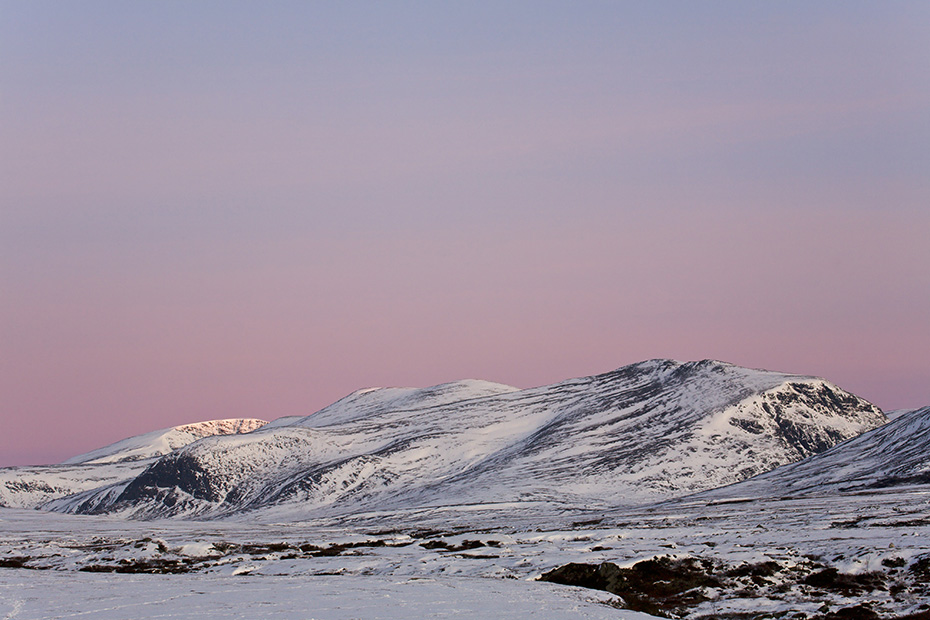 Bergkette im Morgenlicht, Dovrefjell-Nationalpark  -  Soer Trondelag Norwegen, Mountain range in morning light