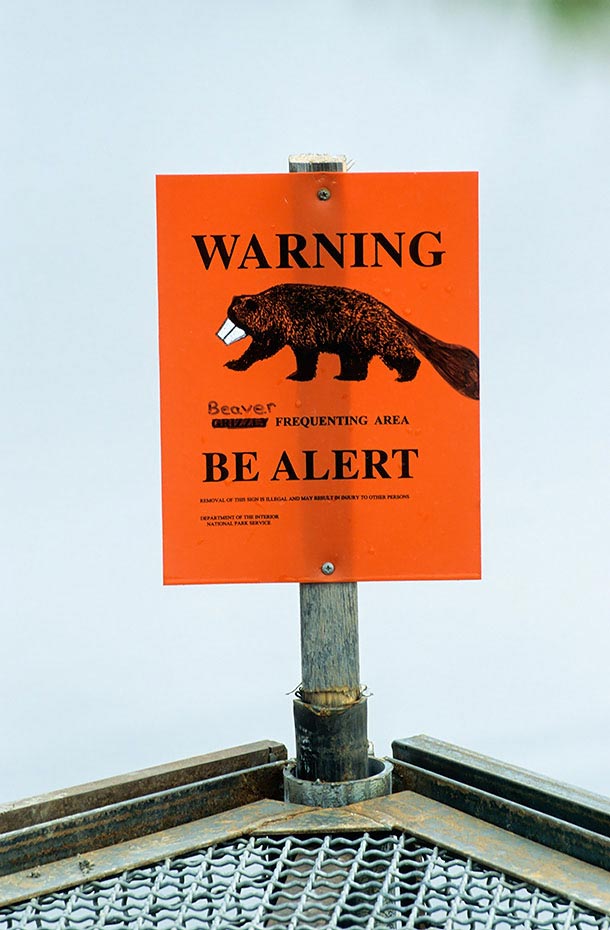 Hinweisschild - Gefaehrliche Biber, Wonder Lake - Denali-NP., Warning sign - Dangerous beaver