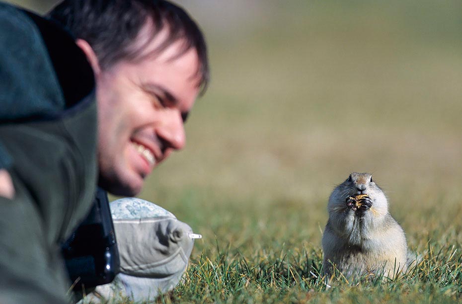 Frank belaestigt Richardson - Ziesel, Elk Island Nationalpark - Kanada, Frank molest Richardson Ground Squirrel