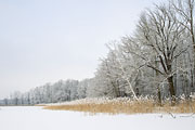 Thumbnail of the category German scenery photographs-News