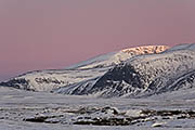 Thumbnail of the category Dovrefjell National Park