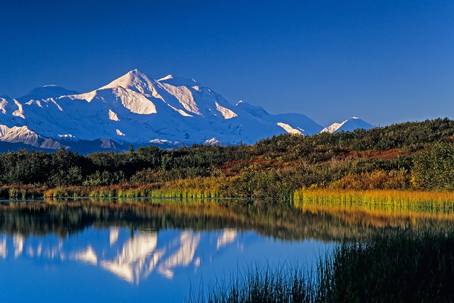 Mount Foraker spiegelt sich im Reflection Pond, Denali Nationalpark  -  Alaska, Mount Foraker is mirrored in Reflection Pond