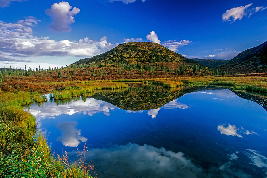 Wolken spiegeln sich in einem See in herbstlicher Tundralandschaft, Denali Nationalpark  -  Alaska, Cloud reflection in a lake in indian summer
