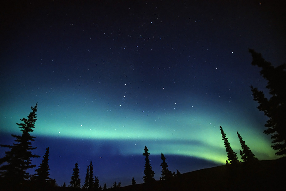 Nordlichter tanzen am Nachthimmel, Denali Nationalpark  -  Alaska, Northern Lights at night sky