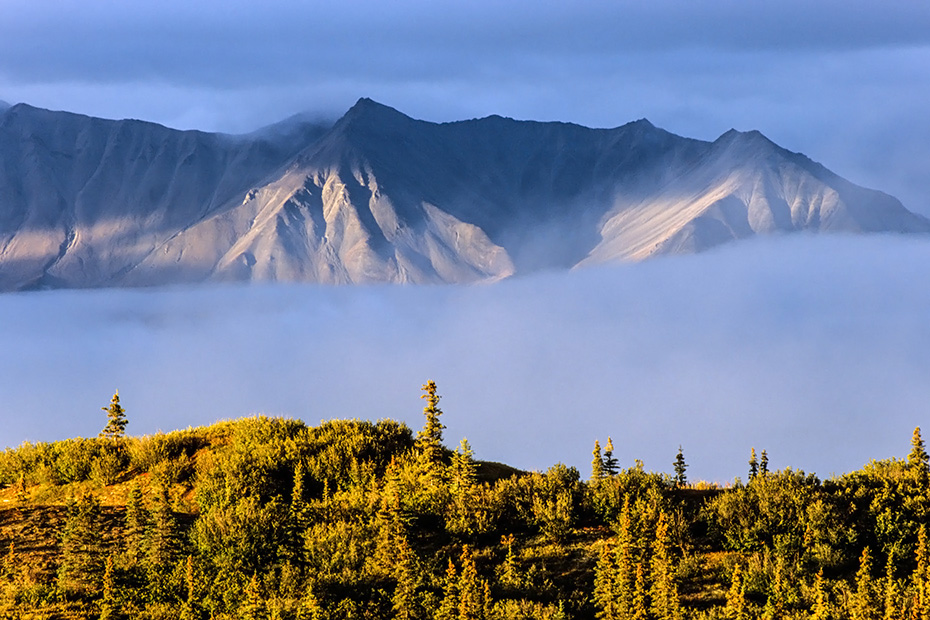 Alaska-Bergkette und herbstliche Tundra, Denali Nationalpark  -  Alaska, Alaska range and tundra landscape in fall