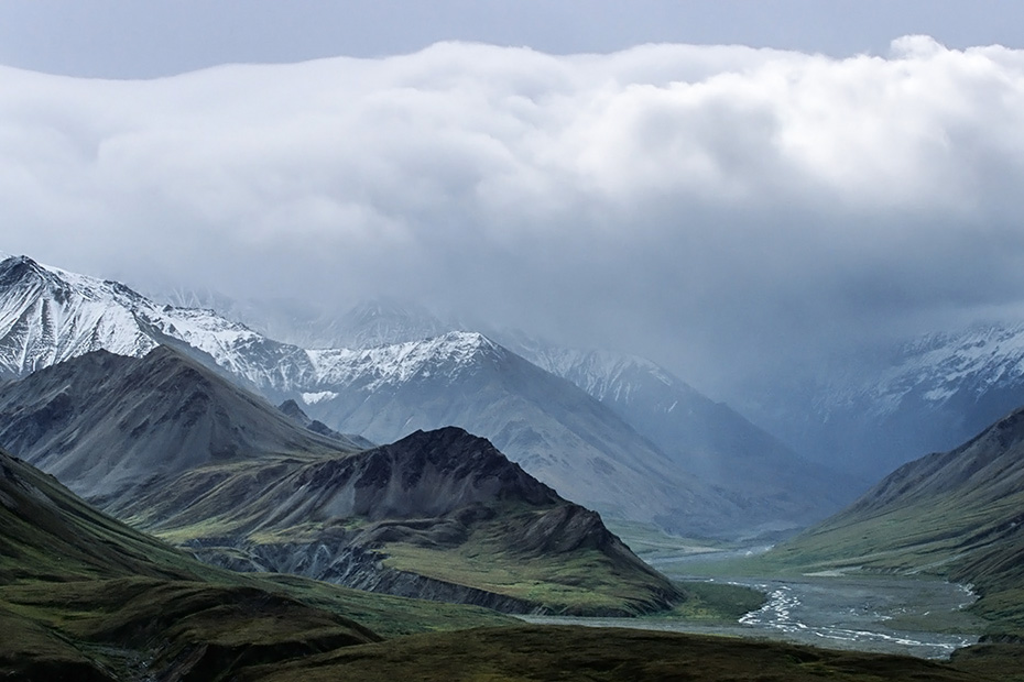 Berggipfel der Alaska-Bergkette zwischen Wolken, Denali Nationalpark  -  Alaska, Mountain peaks of the Alaska range between clouds