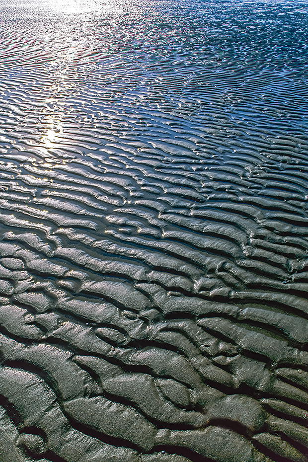 Wattrippeln im Wattenmeer, Elbmuendung bei Brunsbuettel  -  Schleswig-Holstein, Ripple marks in the Wadden Sea