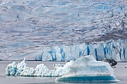 Eisberge auf dem Mendenhall See vor dem Mendenhall Gletscher, Juneau  -  Alaska, Icebergs at Mendenhall lake in front of Mendenhall glacier