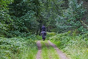 Reiterin au einem Waldweg, Holtorfer Gehege  -  Schleswig-Holstein, Horsewoman rides on a forest path