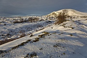 Tundralandschaft im Winter, Dovrefjell-Nationalpark  -  Soer Trondelag Norwegen, Tundra landscape in winter