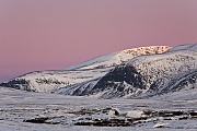 Tundralandschaft im Winter, Dovrefjell-Nationalpark  -  Soer Trondelag Norwegen, Tundra landscape in winter
