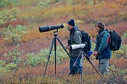 v.r. Thomas und Andreas fotografieren kaempfende Elchbullen, Denali-Nationalpark - (Alaska), f.r. Thomas and Andreas photograph fighting bull Moose