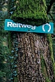 Bridleway sign on an oak trunk