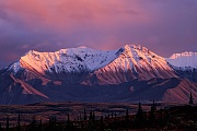 Alaskakette und herbstliche Tundra im Abendlicht, Denali Nationalpark  -  Alaska, Alaska range and tundra landscape in evening light