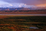 Alaskakette und herbstliche Tundra im Abendlicht, Denali Nationalpark  -  Alaska, Alaska range and tundra in evening light