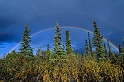 Regenboegen ueber der herbstlichen Tundra, Denali Nationalpark  -  Alaska, Rainbows over the tundra in indian summer