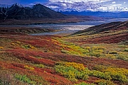 Mount Eielson und herbstliche Tundralandschaft, Denali Nationalpark  -  Alaska, Mount Eielson and tundra landscape in fall