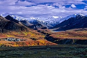 Alaskakette und herbstliche Tundra, Denali Nationalpark  -  Alaska, Alaska range and tundra landscape in indian summer