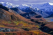 Alaskakette und herbstliche Tundra, Denali Nationalpark  -  Alaska, Alaska range and tundra landscape in autumn