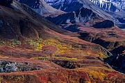 Alaskakette und herbstliche Tundra, Denali Nationalpark  -  Alaska, Alaska range and tundra landscape in autumn