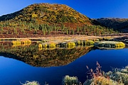 Herbstliche Tundralandschaft spiegelt sich in einem See, Denali Nationalpark  -  Alaska, Tundra landscape reflection in a lake