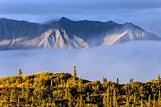 Alaska-Bergkette und herbstliche Tundra, Denali Nationalpark  -  Alaska, Alaska range and tundra landscape in fall