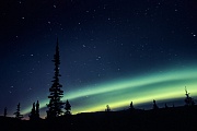 Nordlichter am Nachthimmel, Denali Nationalpark  -  Alaska, Northern Lights at night sky