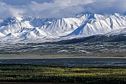 Neuschnee auf den Bergen der Alaska-Bergkette, Denali Nationalpark  -  Alaska, Fresh snow on the mountains of the Alaska range