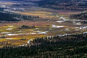 Tundralandschaft im Herbst, Denali Nationalpark  -  Alaska, Tundra landscape in autumn