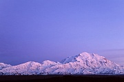 Alaskakette und Denali im Abendlicht, Denali Nationalpark  -  Alaska, Alaska range and Denali at dusk