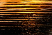 Wellen im Abendlicht an der Nordsee, Meldorfer Bucht  -  Schleswig-Holstein, Waves in late sunlight on the North Sea coast