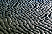 Wattrippeln im Wattenmeer, Elbmuendung bei Brunsbuettel  -  Schleswig-Holstein, Ripple marks in the Wadden Sea