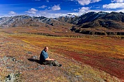 Im Gebiet des Mt. Eielson, Denali-Nationalpark - (Alaska), Mt.Eielson area