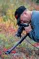 Makrofotografie, Denali-Nationalpark - (Alaska), Close up photography