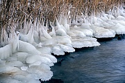 Eisstrukturen an einem Flussufer, Nord-Ostsee Kanal   -  Schleswig-Holstein, Ice structures on a riverbank