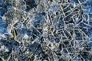 Eiskristalle auf einem Teich, Nordseekueste  -  Schleswig-Holstein, Ice crystals on a pond