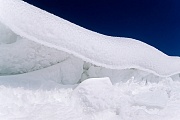 Schneewehe, Feldmark am Schierenwald  -  Kreis Steinburg, Snowdrift