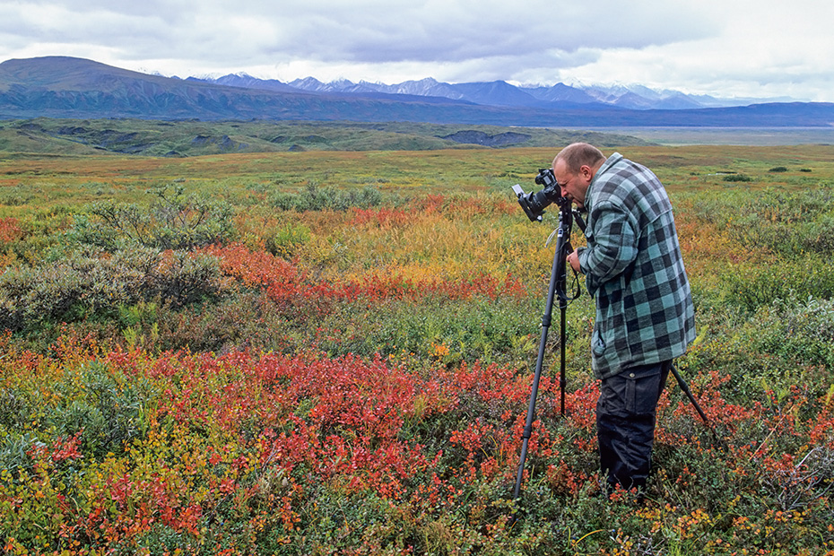 Landschaftsfotografie, Denali-Nationalpark - (Alaska), Scenery photography